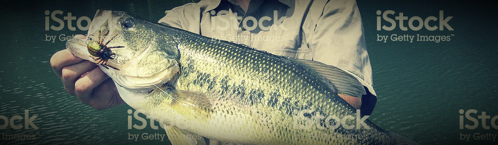 INSHORE SALTWATER: Flounder Rods – Cajun Rods