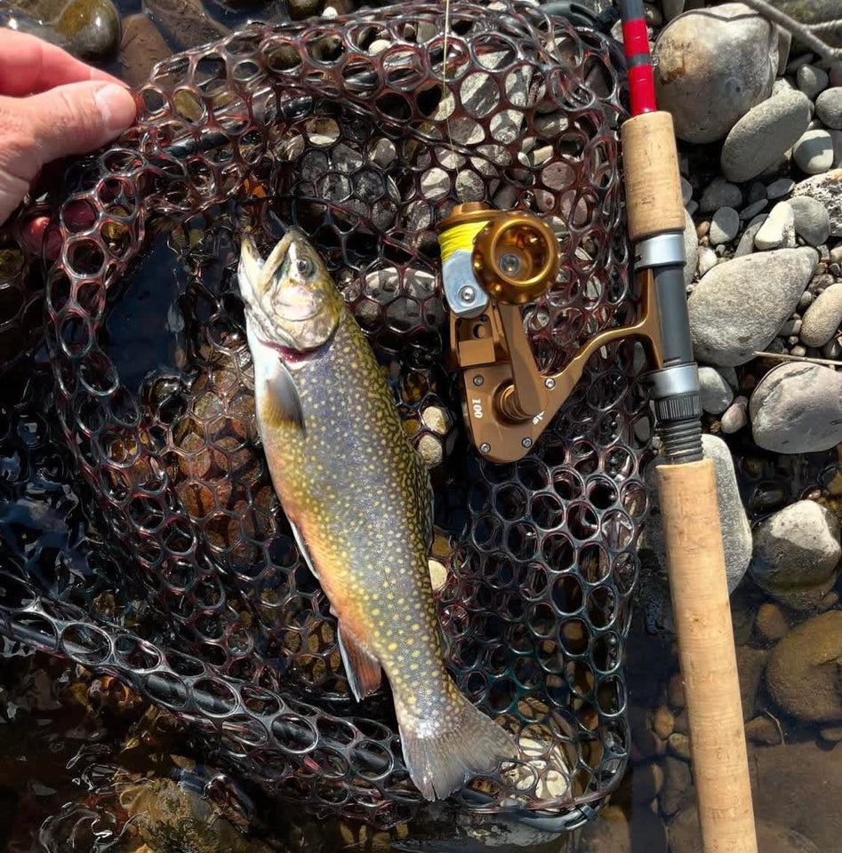 fish fly lure Rod Chronicles Classic Trout Fly Assortment Turtle Lure for Bass??? Colors:Pink Head and Body / White Glow Tail The Stimulator dry fly shark hook